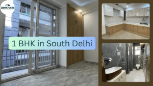 1 BHK in South Delhi